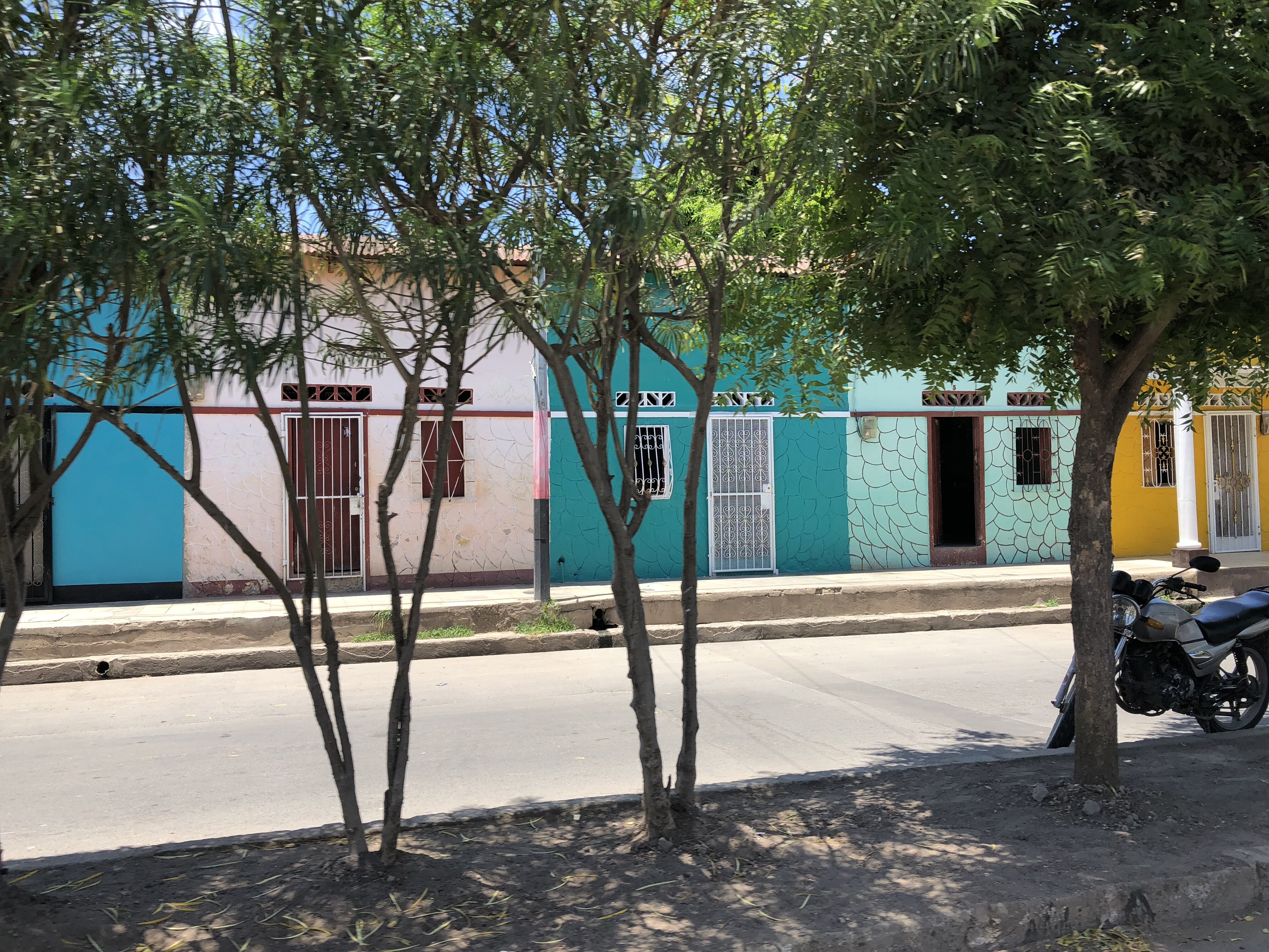 IMG_0625houses-pretty