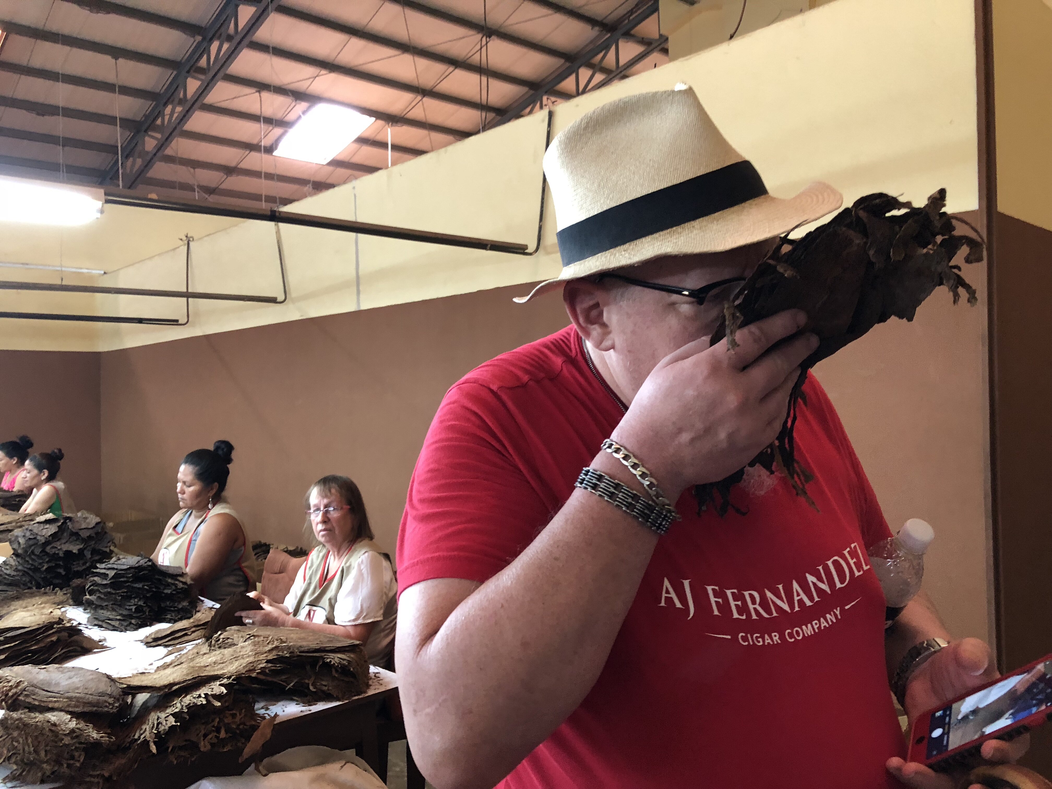 IMG_1725-smell-jeff-categorize